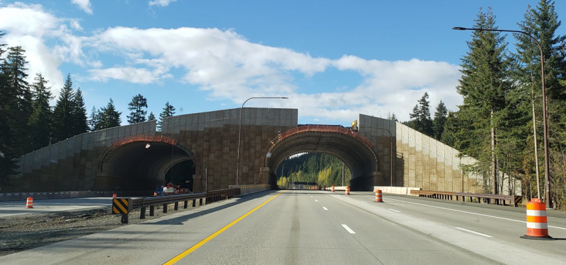 I-90 animal bridge overpass coyote crossing